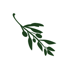 Olive Video Editor V1.9.9 Crack Scarica gratis per PC Windows 2023