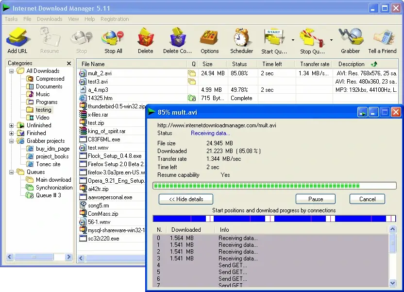 Internet Download Manager Key