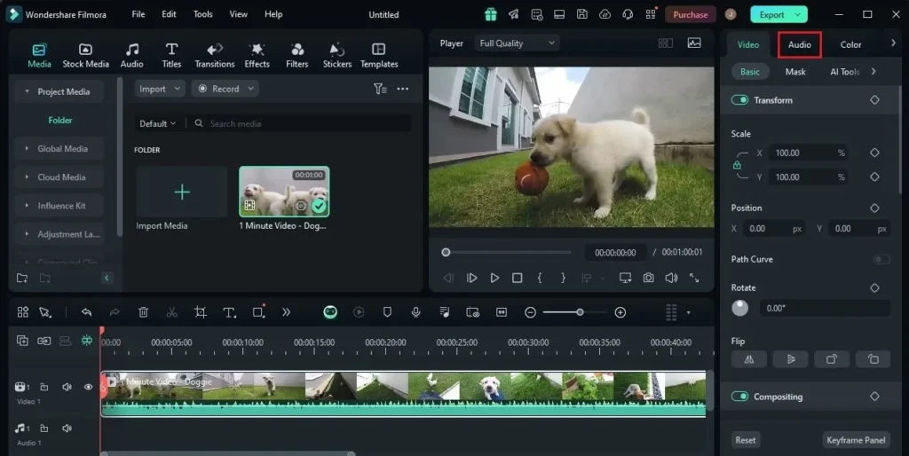 DFX Audio Enhancer 1