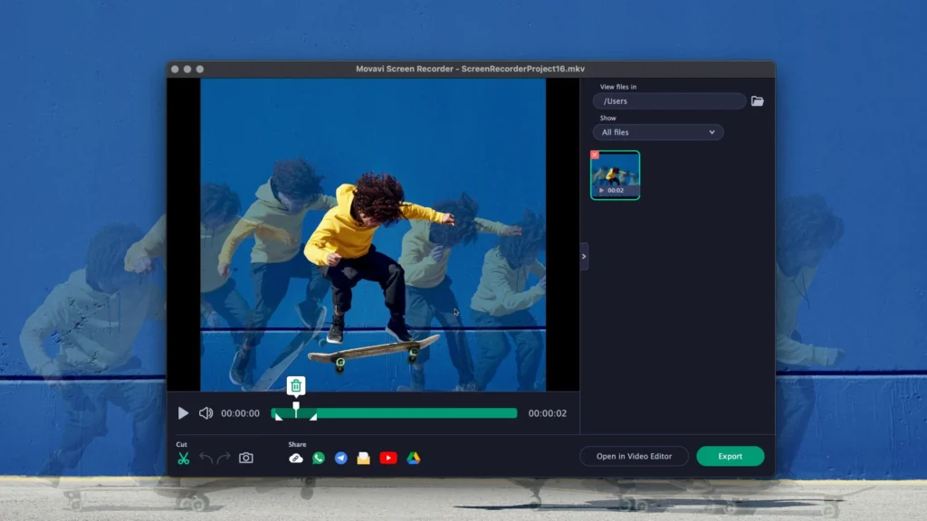 Movavi Screen Recorder1