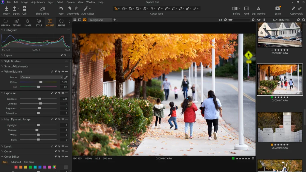 Capture One Pro Download